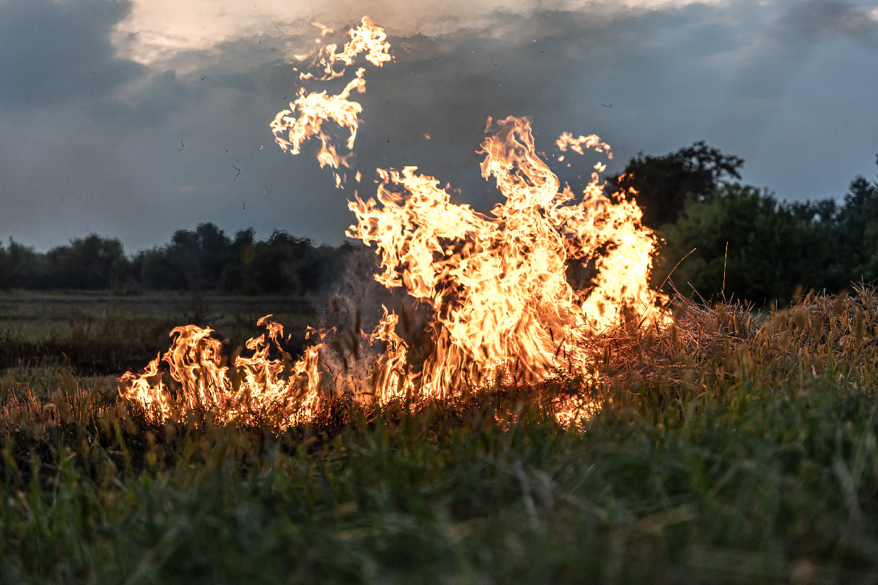 formazione addetti antincendio RSPP Arzachena