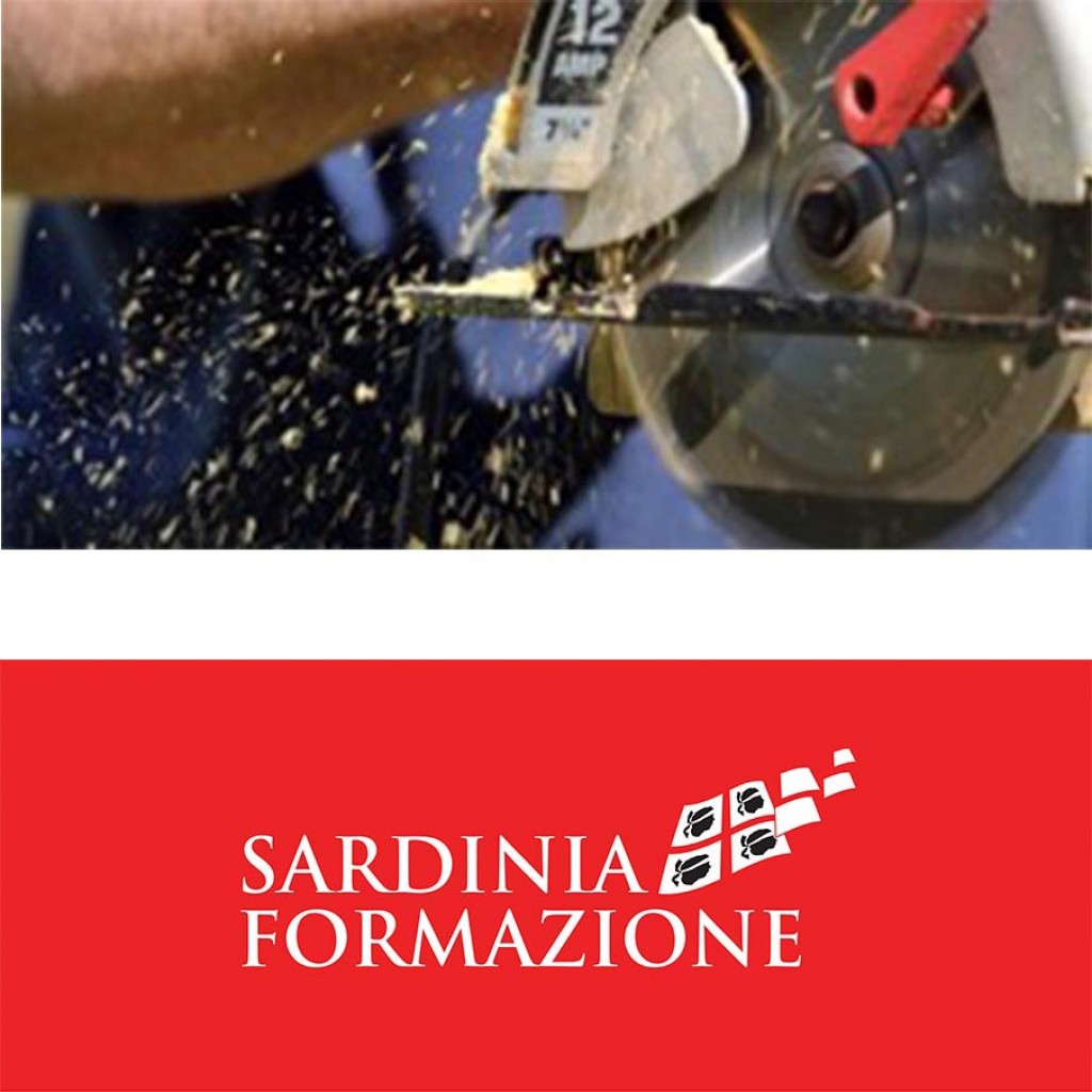 Aggiornamento formazione RLS 4 ore per aziende fino a 50 dipendenti :. approfondimenti giuridico normativi e organizzazione aziendale