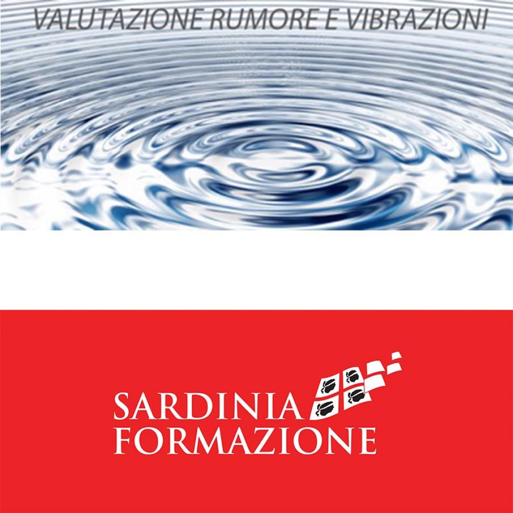 IL RISCHIO DA AGENTI FISICI (RUMORE-VIBRAZIONI)