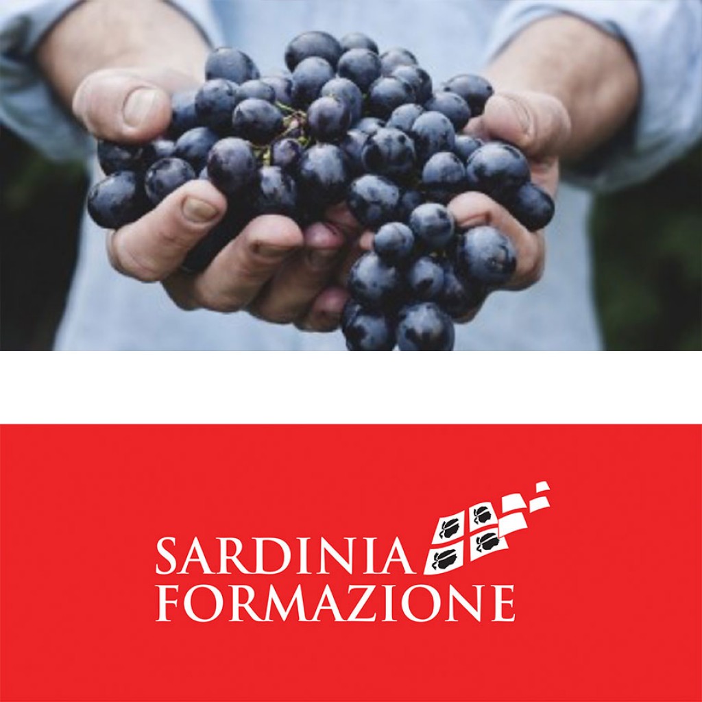 Corso Operatore Settore Alimentare Regione Sardegna - Imprese alimentari/supermercati/mercati