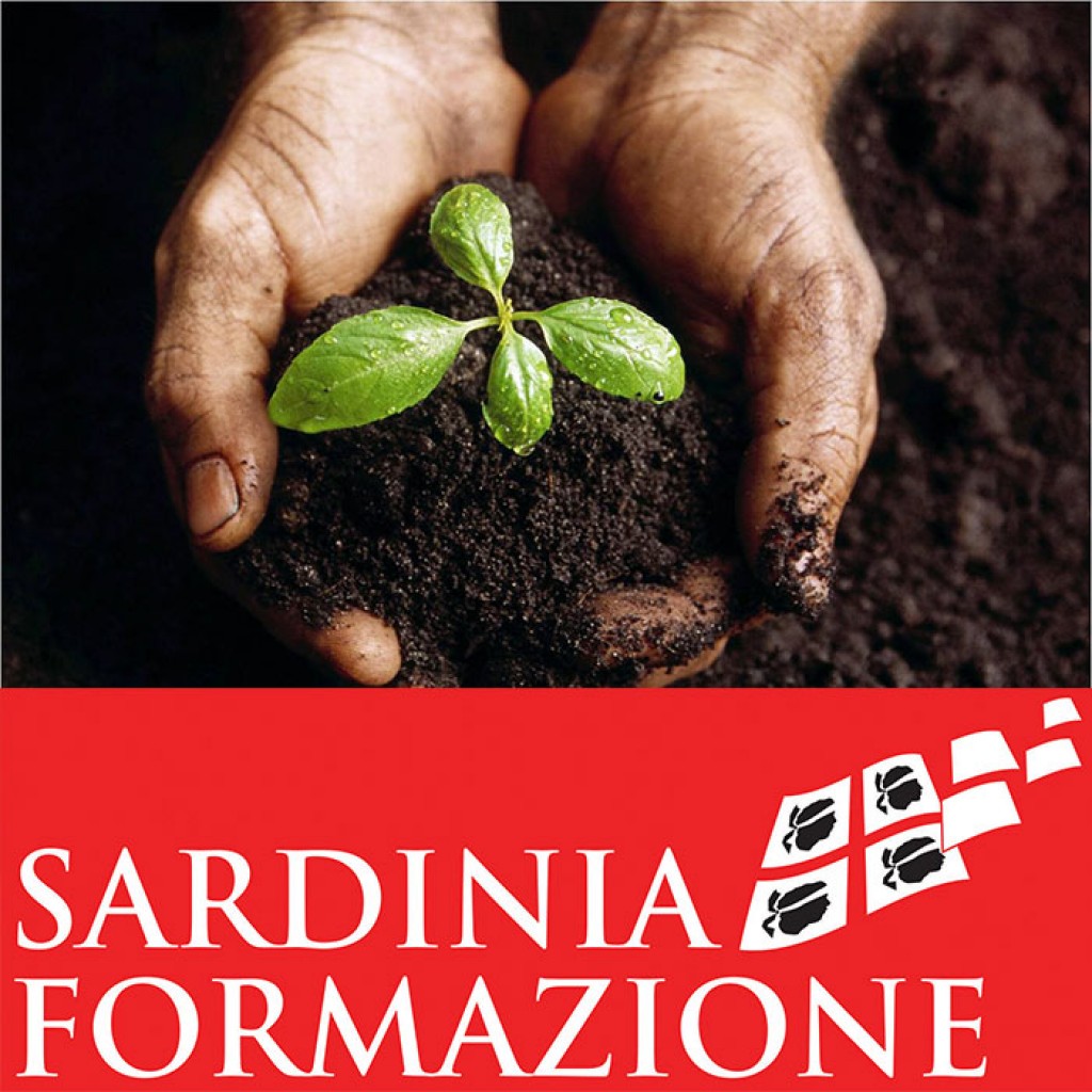 Corso Valutazione Di Impatto Ambientale E Valutazione Ambientale Strategica (VIA – VAS) - Per Informazioni Numero Verde 800-089590